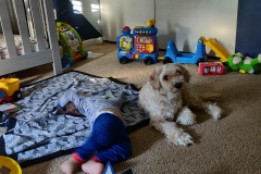IMG_20181102_084134
