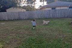 IMG_20201210_162741