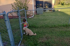 IMG_20201210_163231