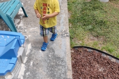 IMG_20200515_124956