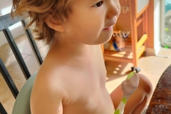IMG_20200817_091517__01