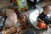 IMG_20180614_184135280_LL