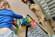 IMG_20181020_120052